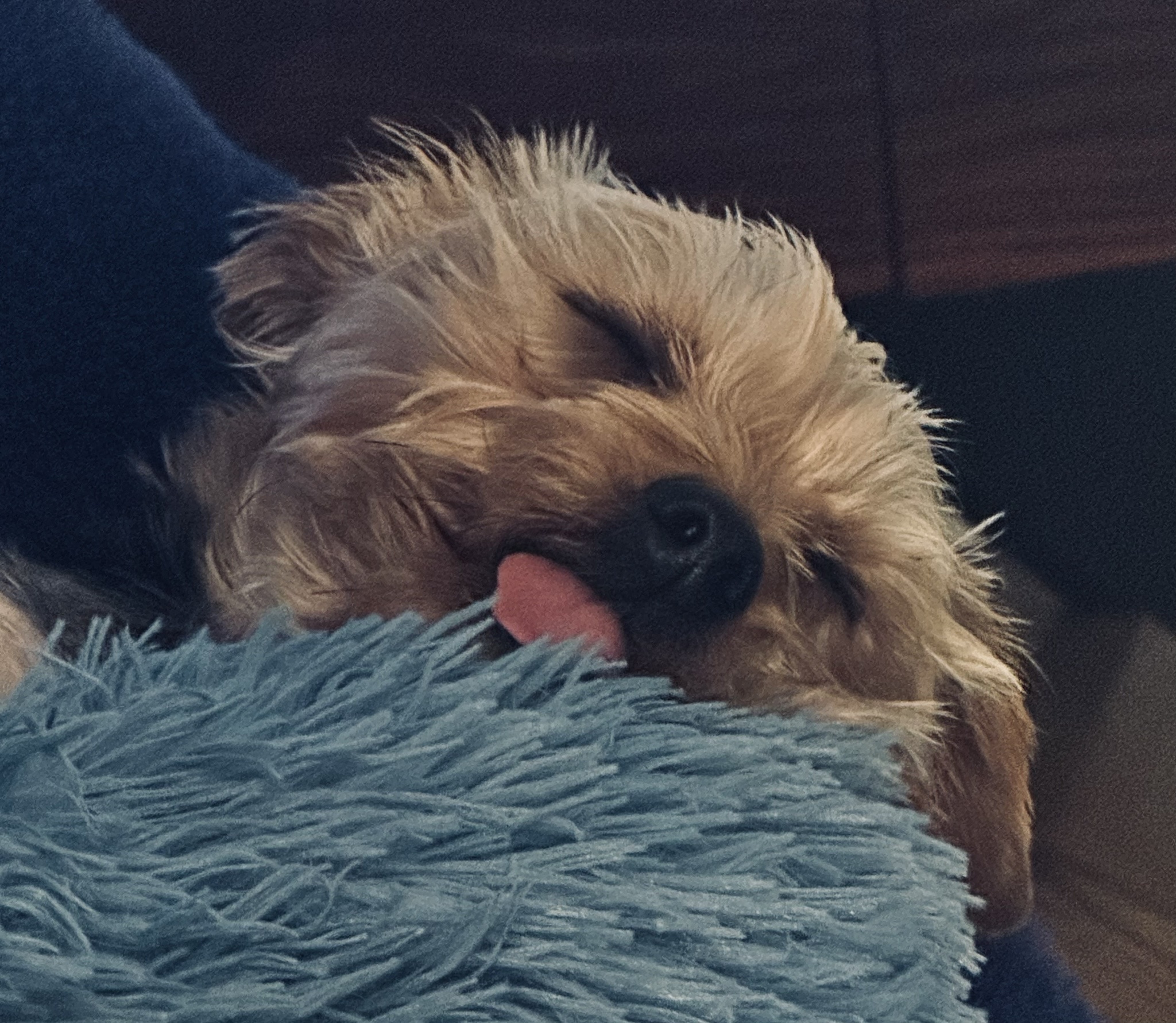 Aww, That's Just Too Cute!