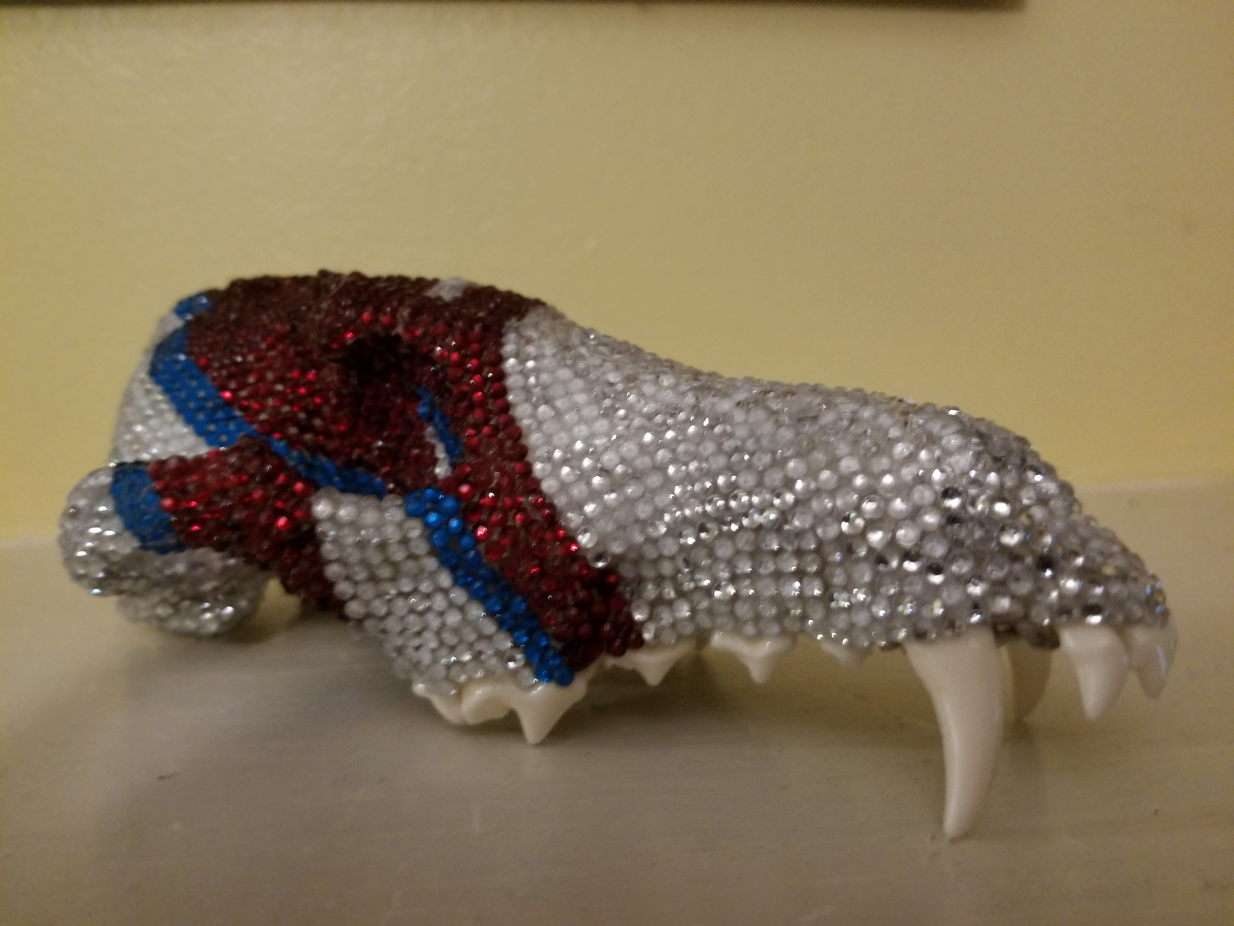 Introducing Ziggy: The star of the show!