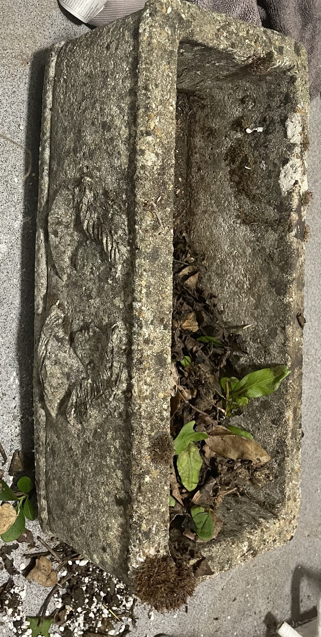 A Clearer View of the Planter