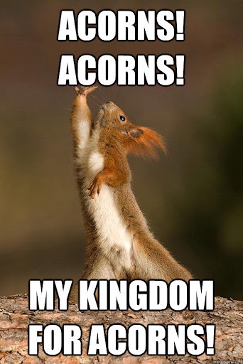 Rallying the Troops - Join Team Acorn!