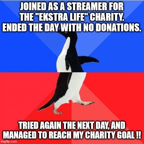 Charity Stream Success: Part 2 - A Joyful Outcome!