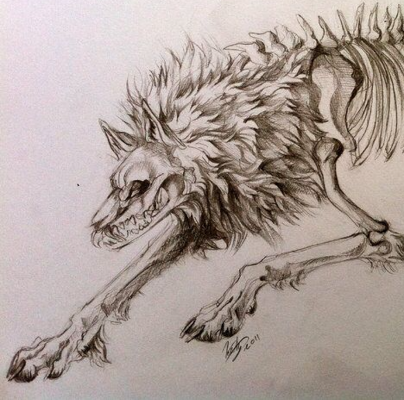 Majestic Wolf: Nature's Untamed Spirit