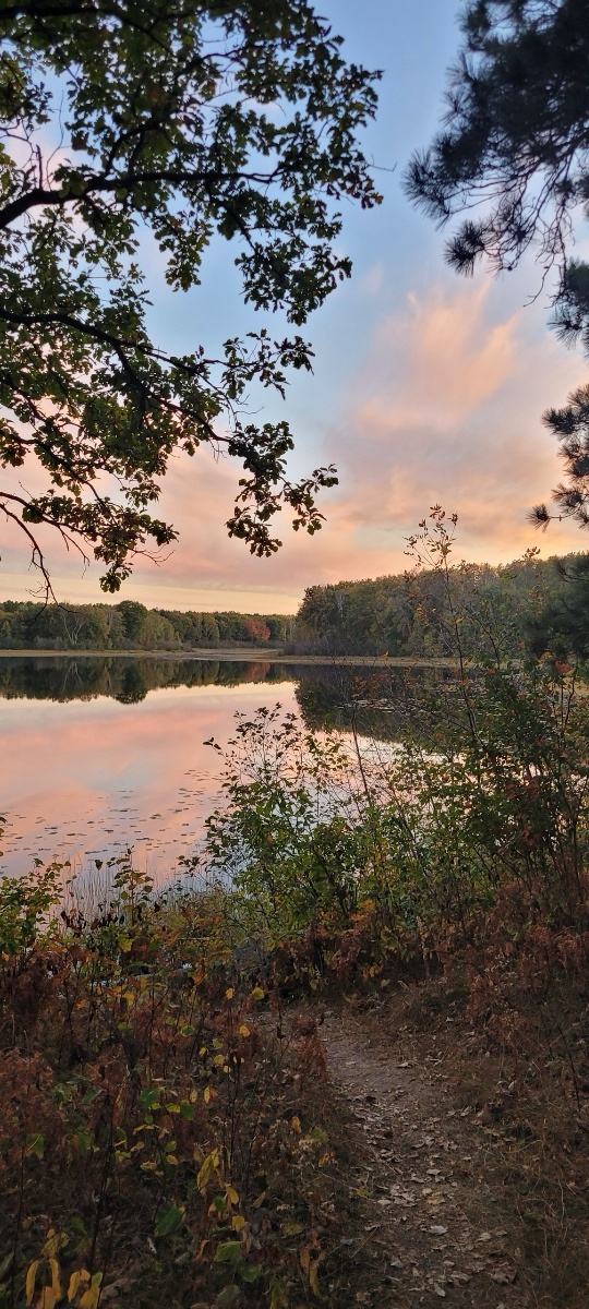 A Cozy Campsite in Northern Minnesota