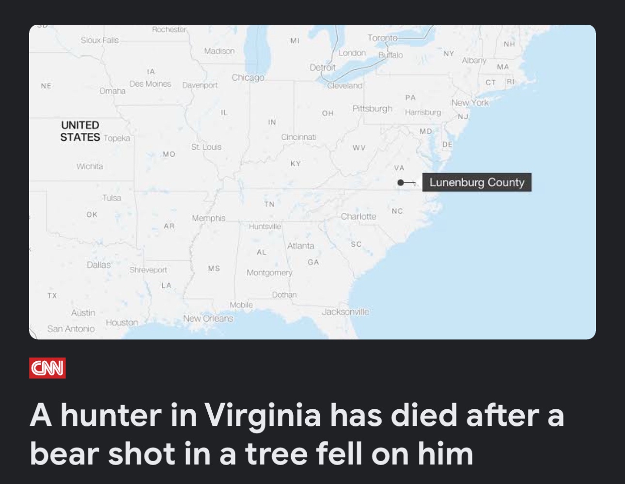 At Last, Some Heartwarming News to Brighten Your Day!