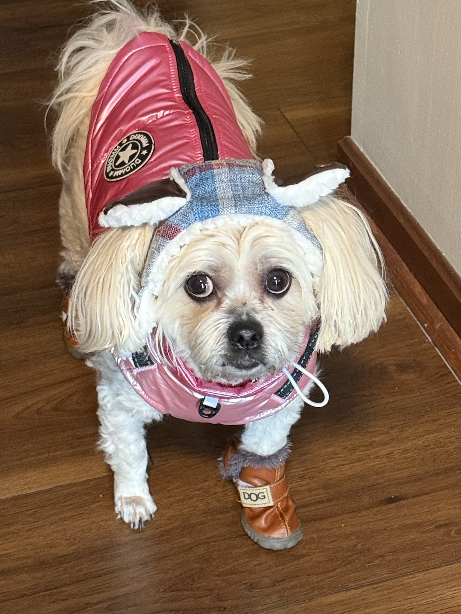 She's definitely not a fan of her boots.