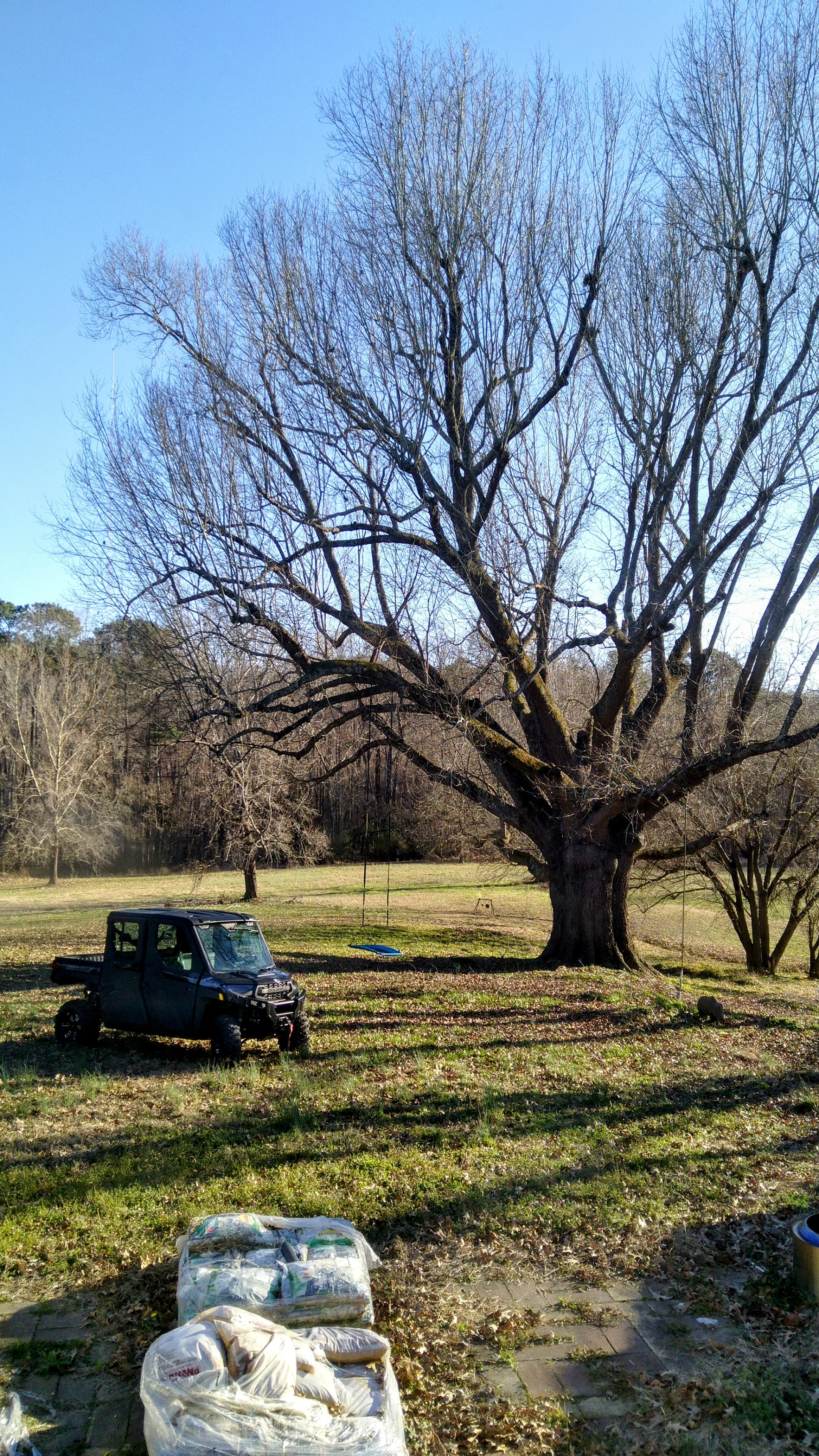 Just Got a New Ride and I'm Ready for Spring Adventures!