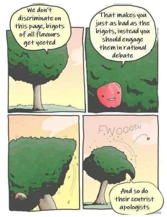Memes Galore: A Spicy and Dank Collection for the Discerning Eye!