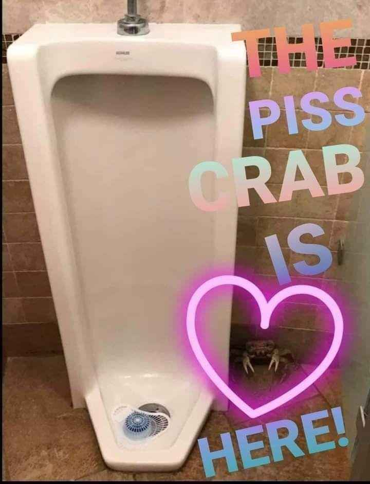 In Honor of Kevin: Hilarious Bathroom Shenanigans