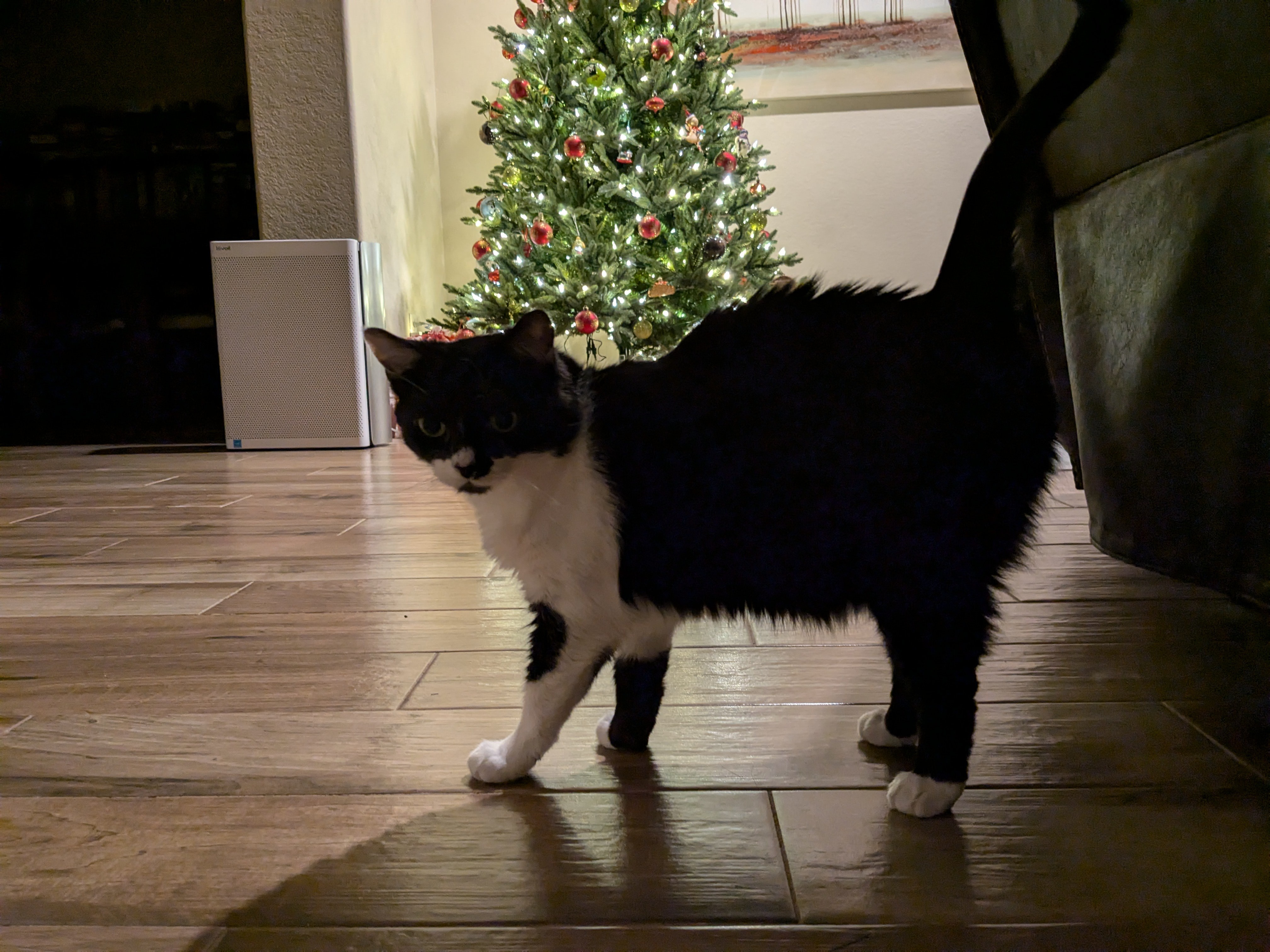 Wishing you a joyful Merry Christmas!