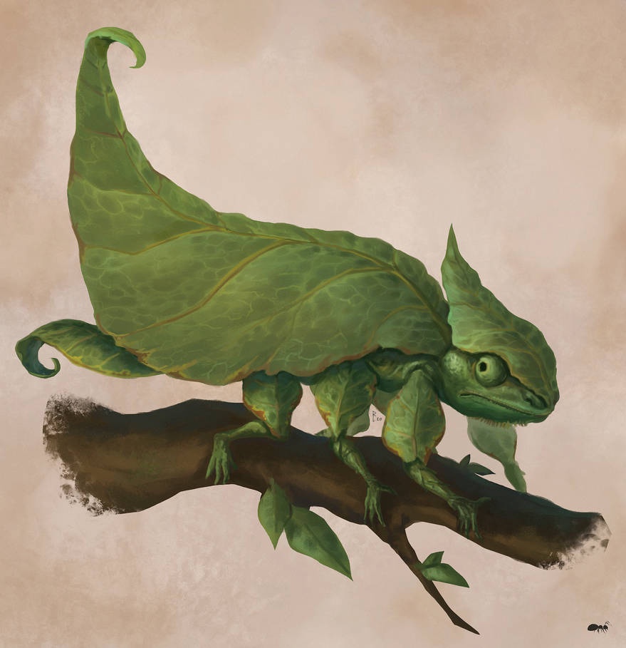 The Colorful Transformation of a Chameleon