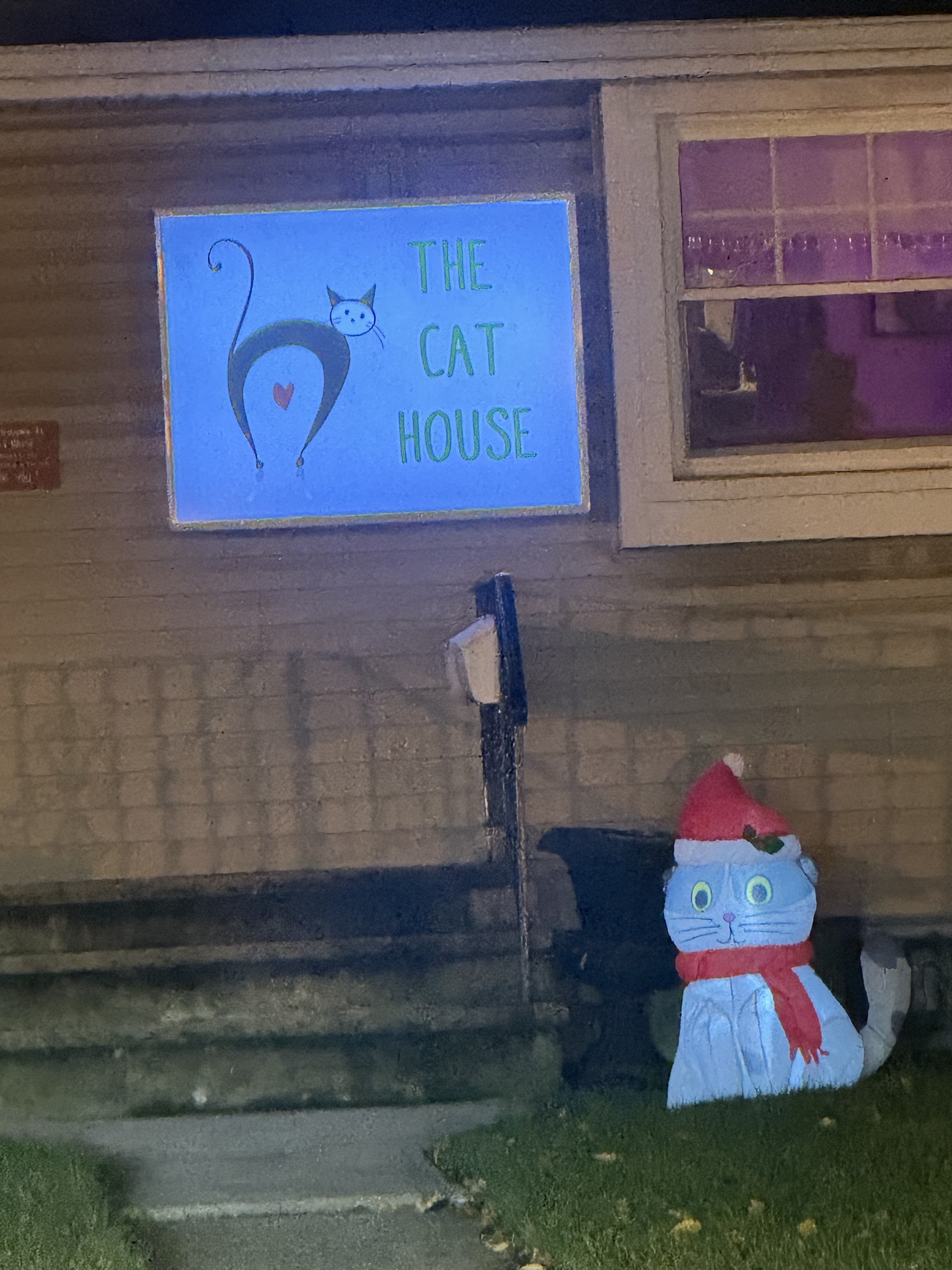 Is this cat really giving me a peek at its backside?