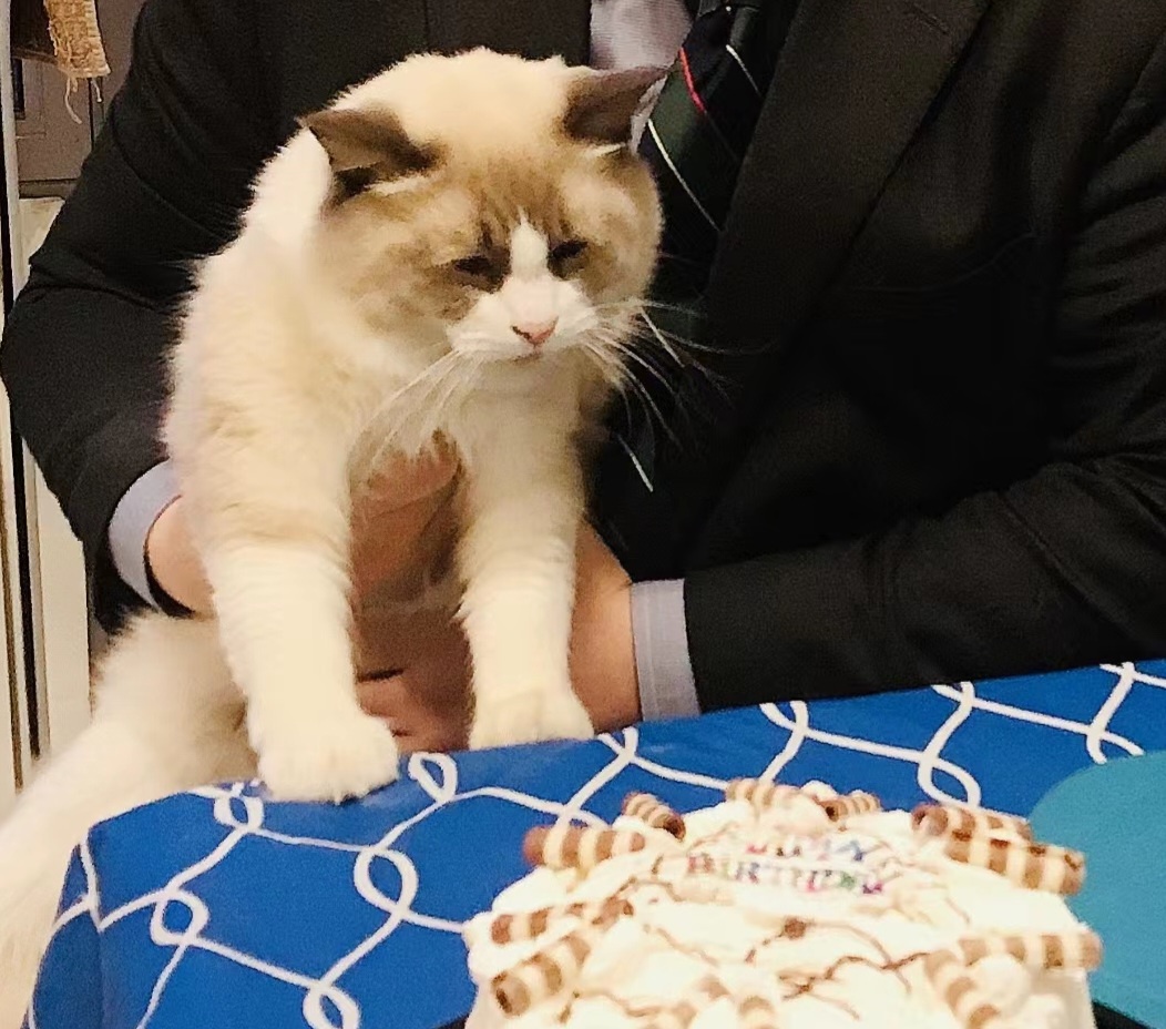Happy 4th Birthday to Tom – Let the Fun Begin!