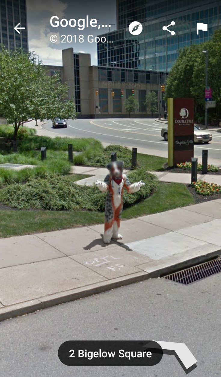 Google Maps: The Unsung Hero of Identity Protection