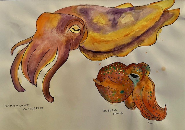 Exploring the world of art in its many forms