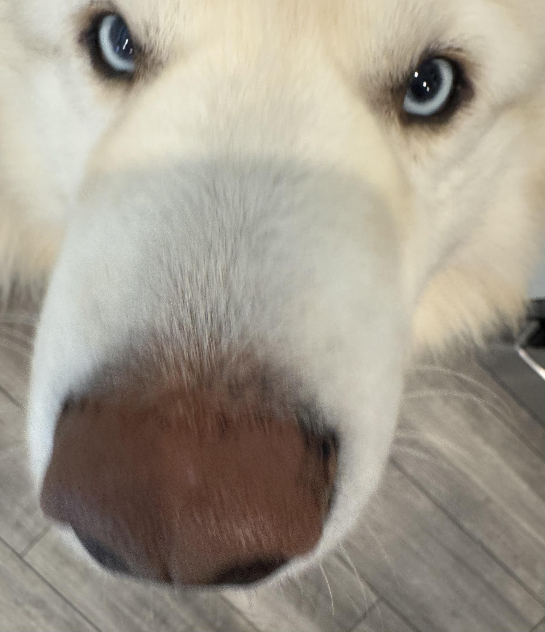 Allow me to take care of that for you!