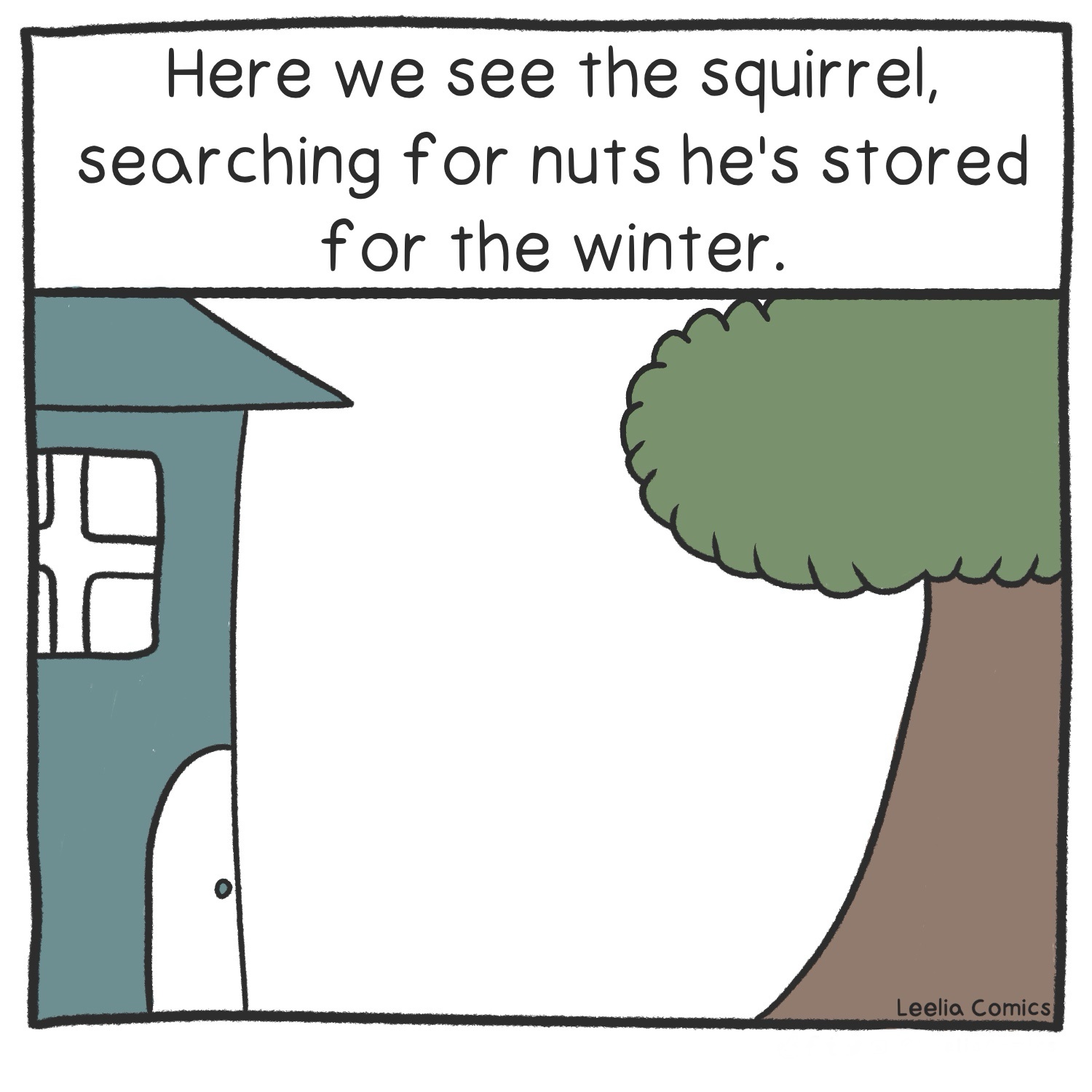 The Adorable Squirrel Chronicles