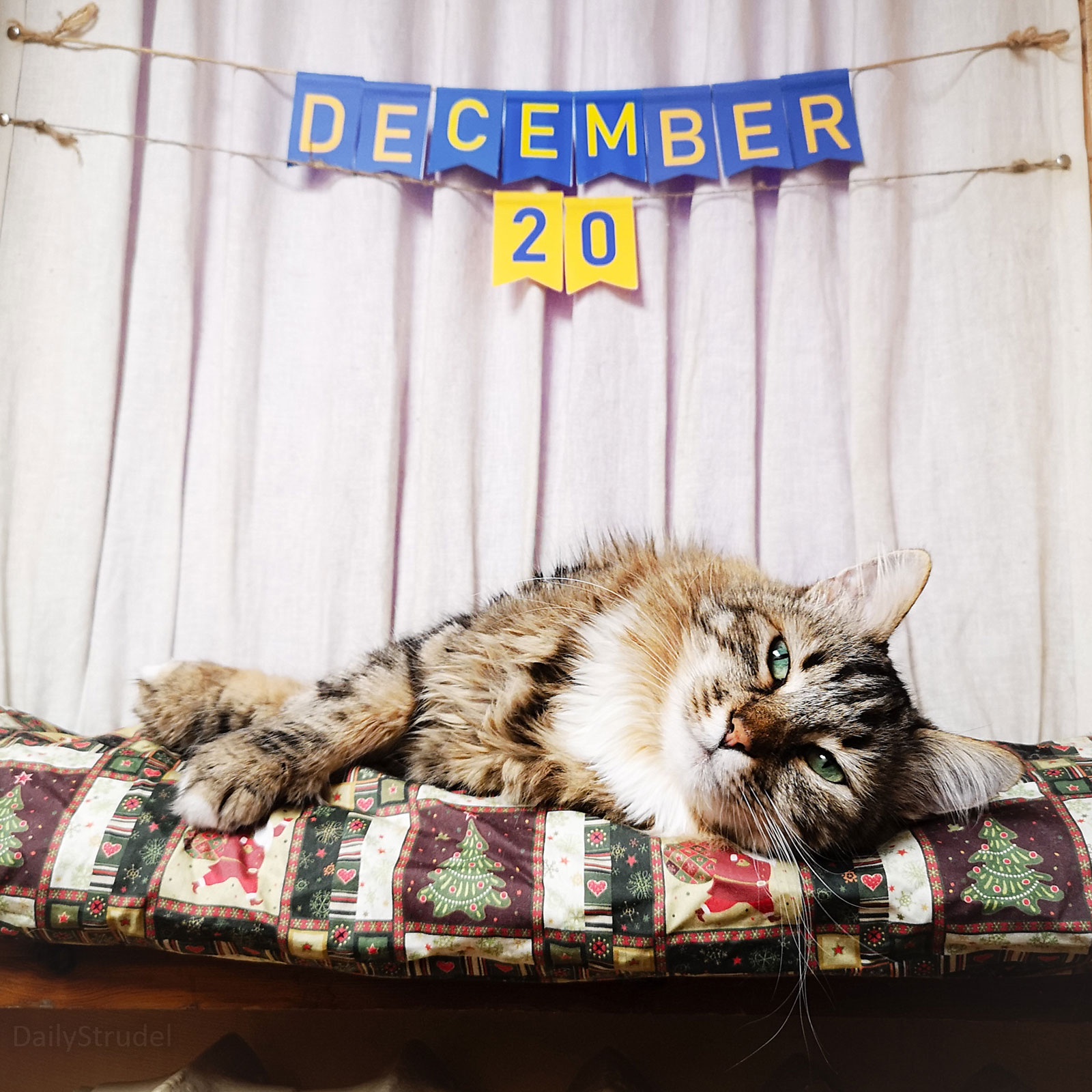 Mark Your Calendar: December 20th is Here!