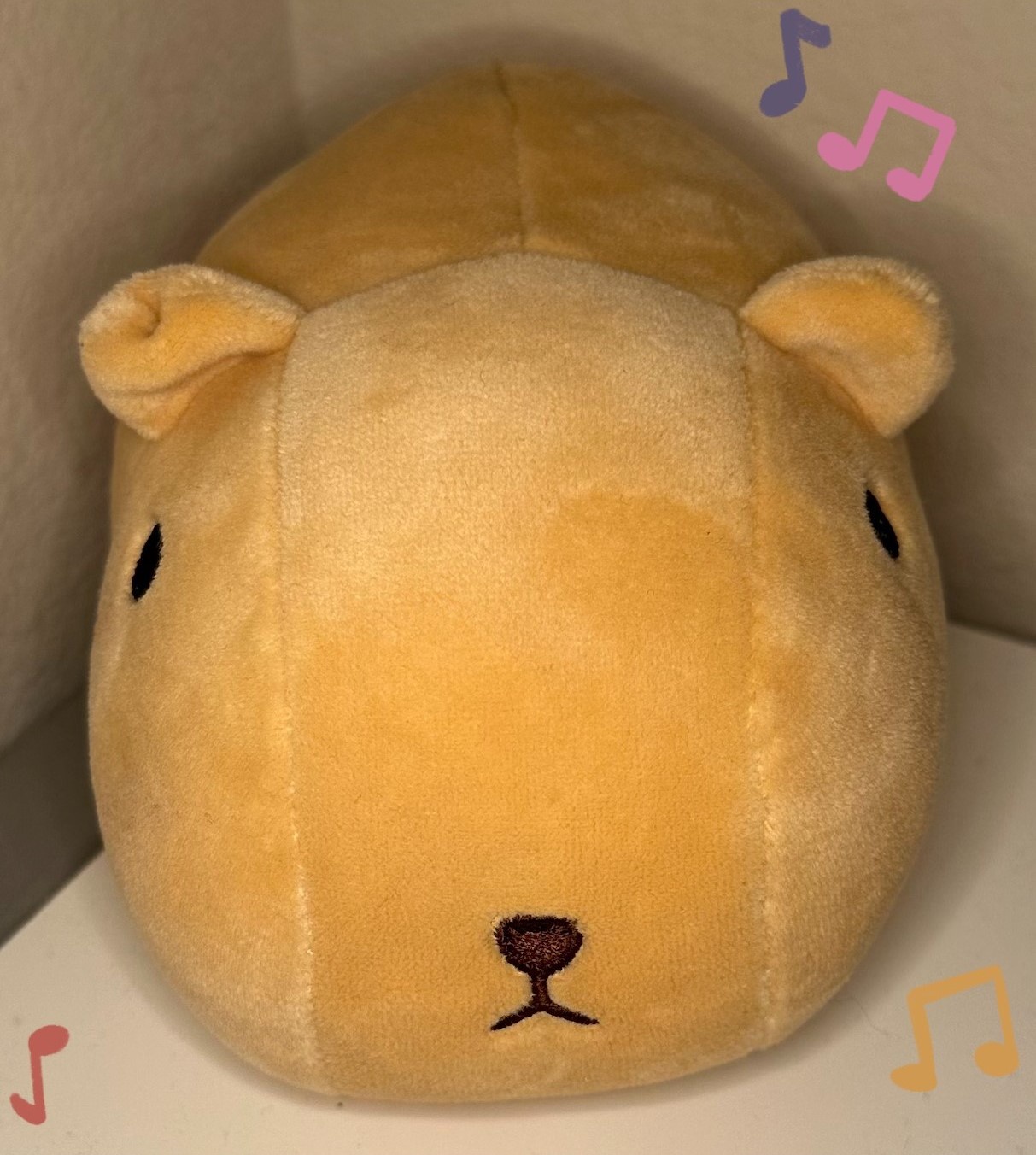Meet Capybara Boi: The Adorable Star of the Day