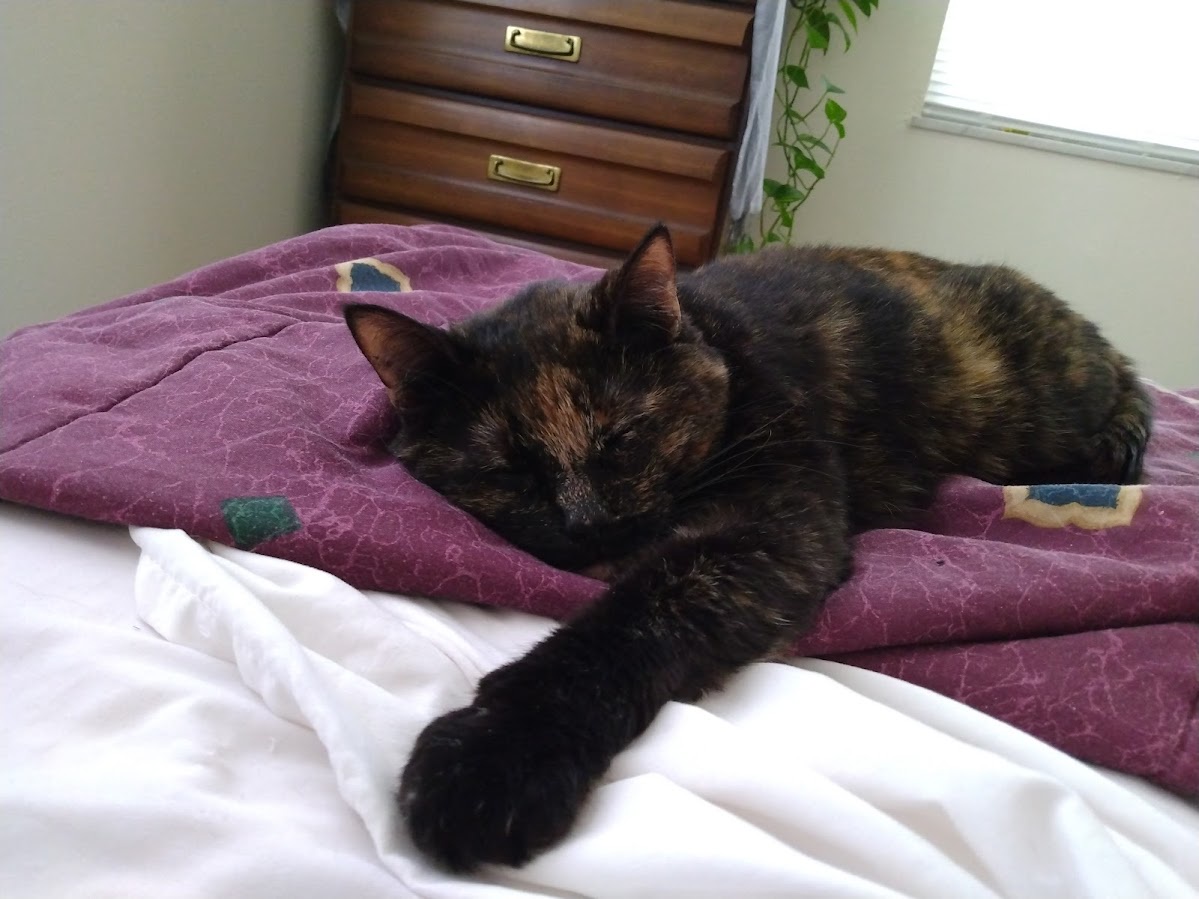 Share Your Pets' Names with Us!