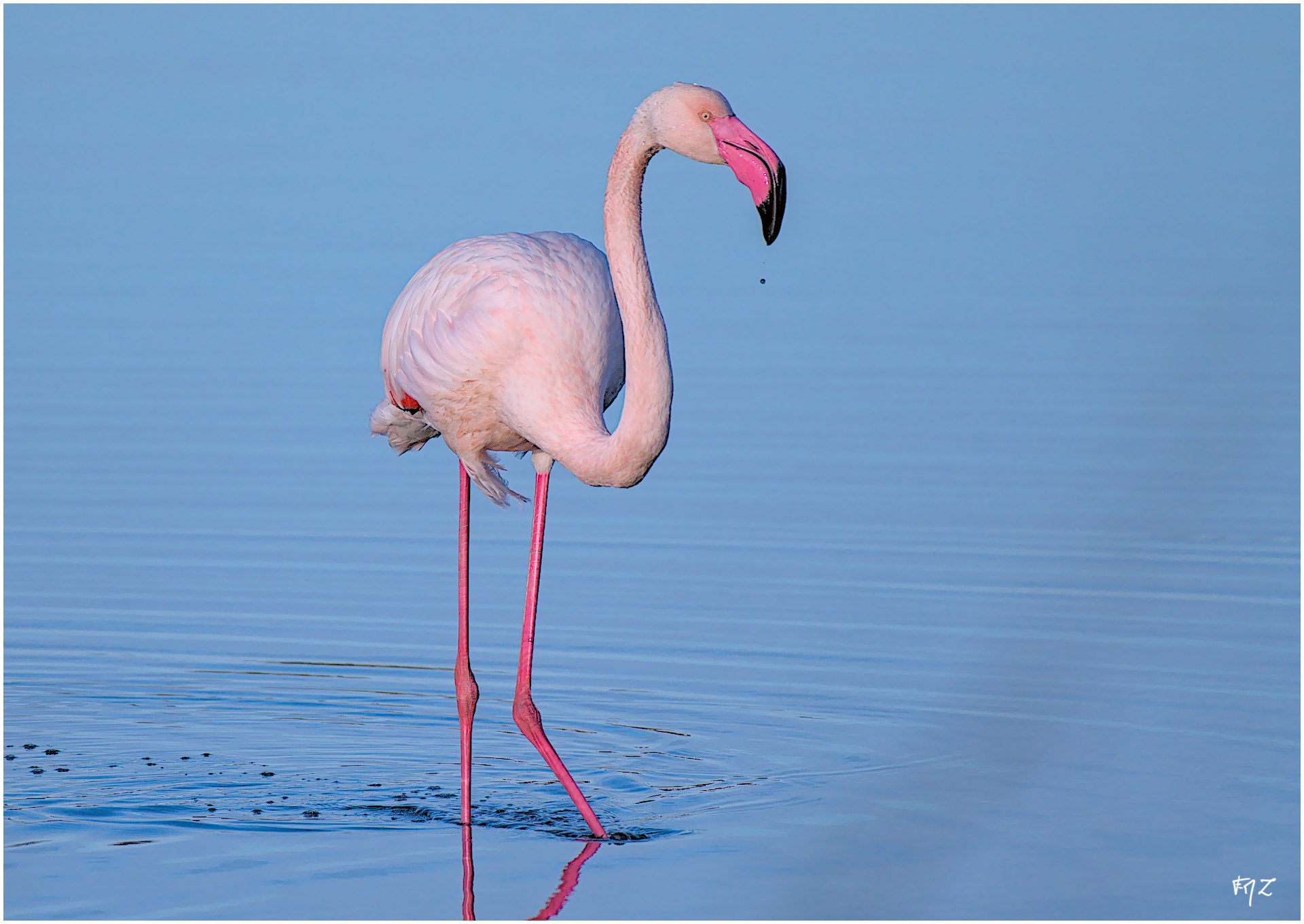 Exploring Les Salins des Pesquiers and the Marsh of Redon on January 24, 2025