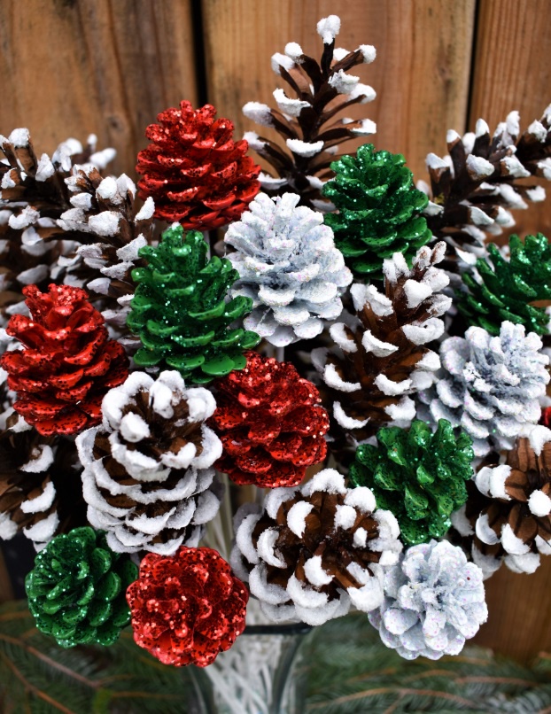 It's that magical time of year for pine cones!