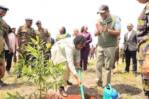 The Green Revolution: Embracing Reforestation