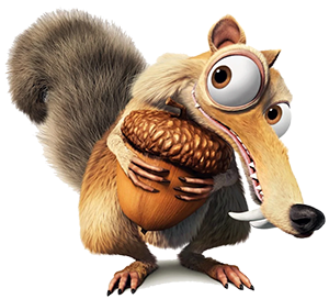 All Hail Team Acorn!