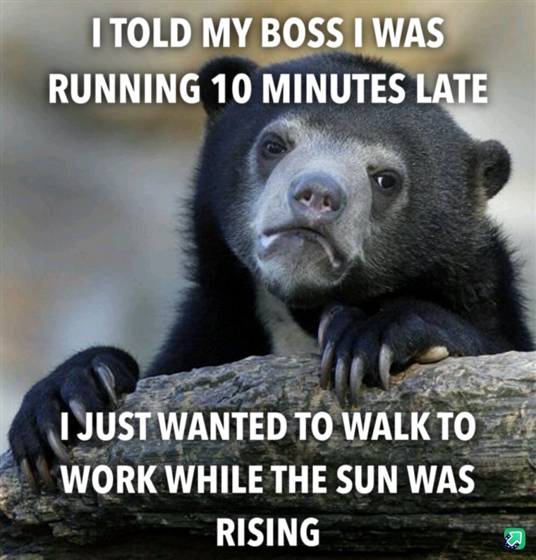 Totally Worth It, and I Would Do It Again!