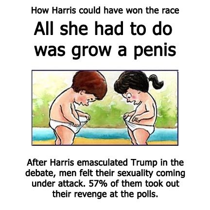 A Strategic Look at How Harris Could Have Secured Victory