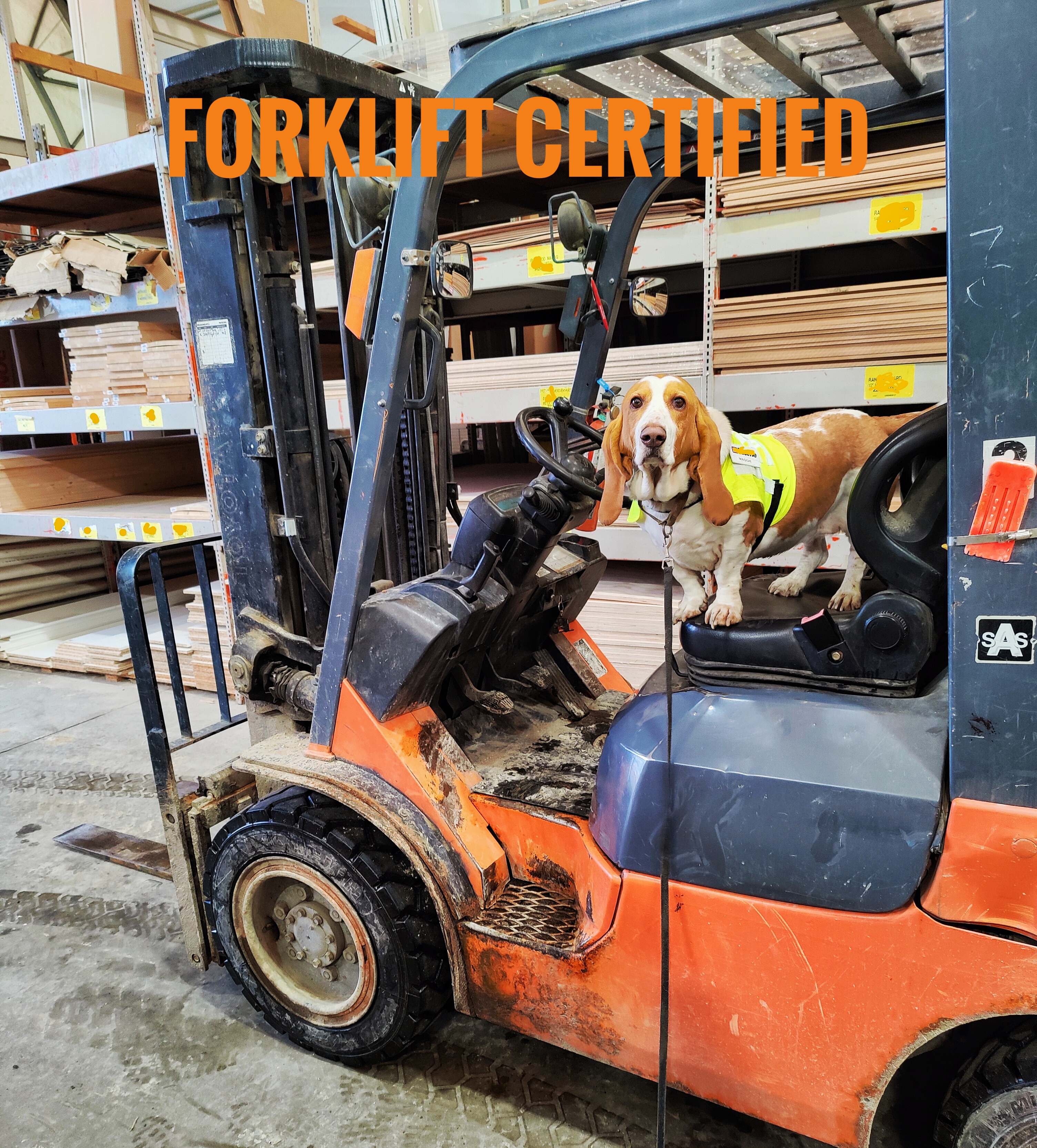 Certified to operate a forklift like a pro