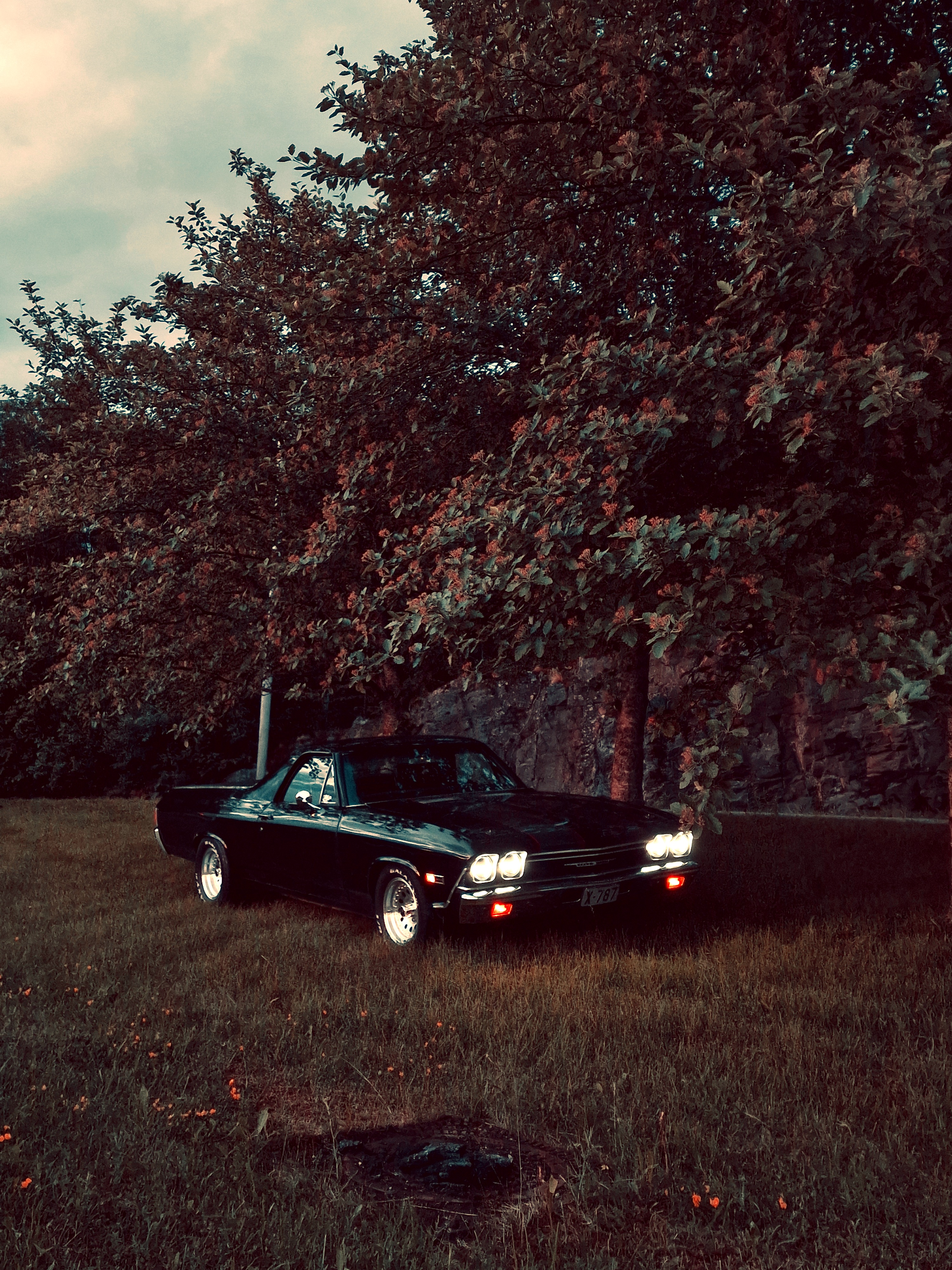 Cruising in Style: El Camino Adventures Await!