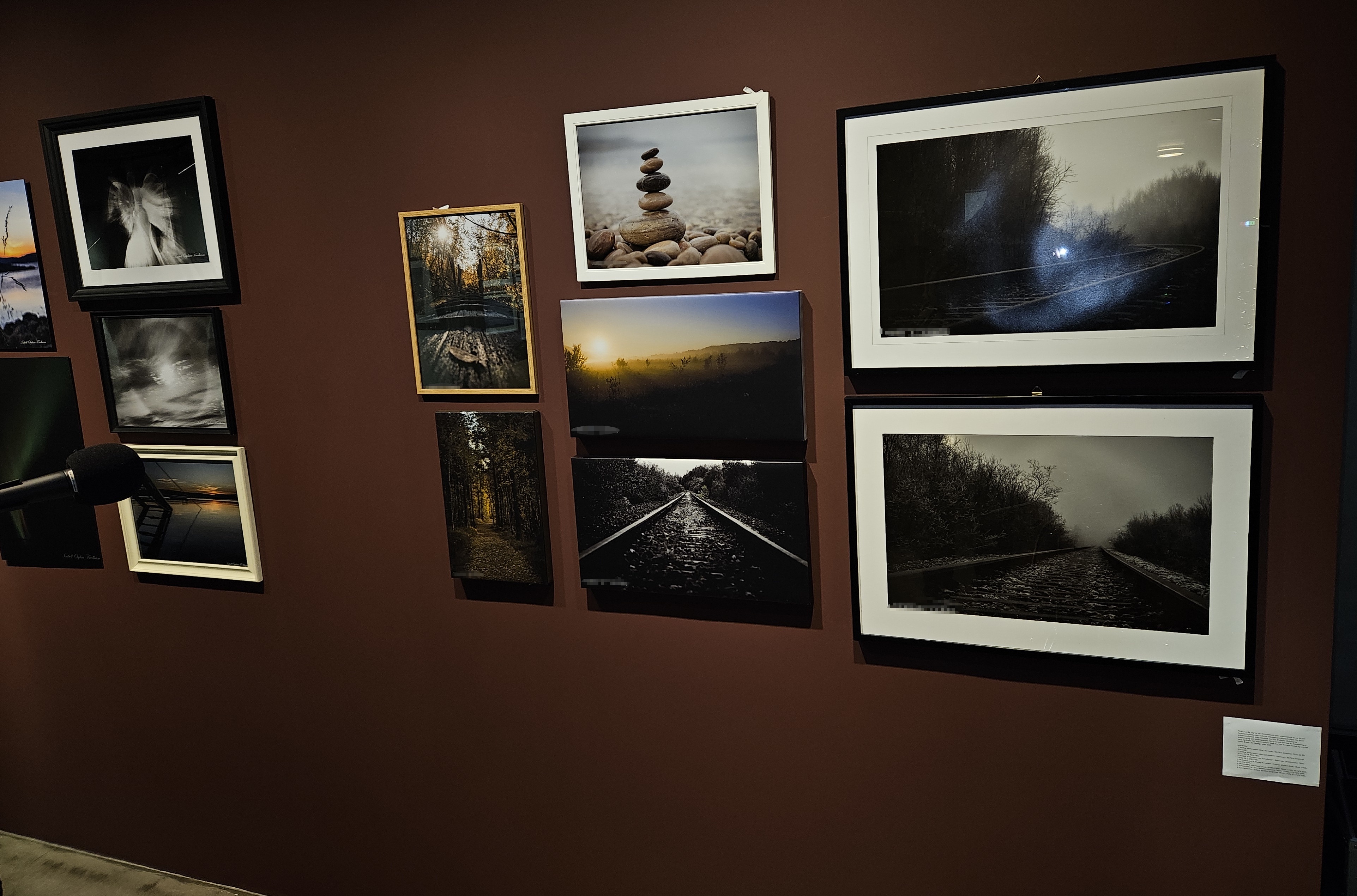 Capturing moments: My love for photography