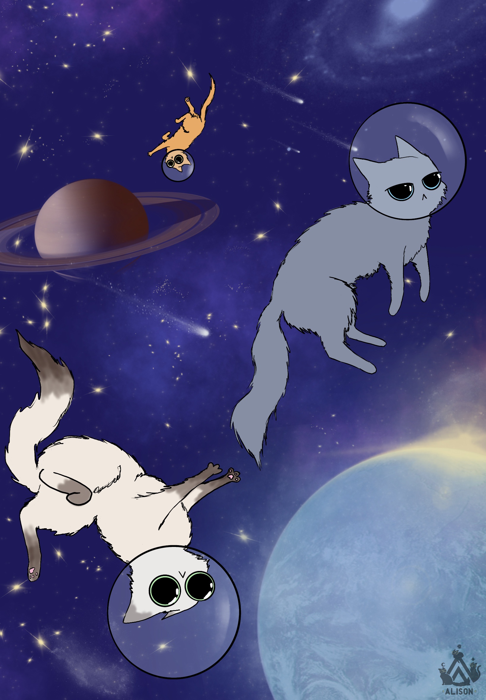 Galactic Felines: The Adventures of Space Cats