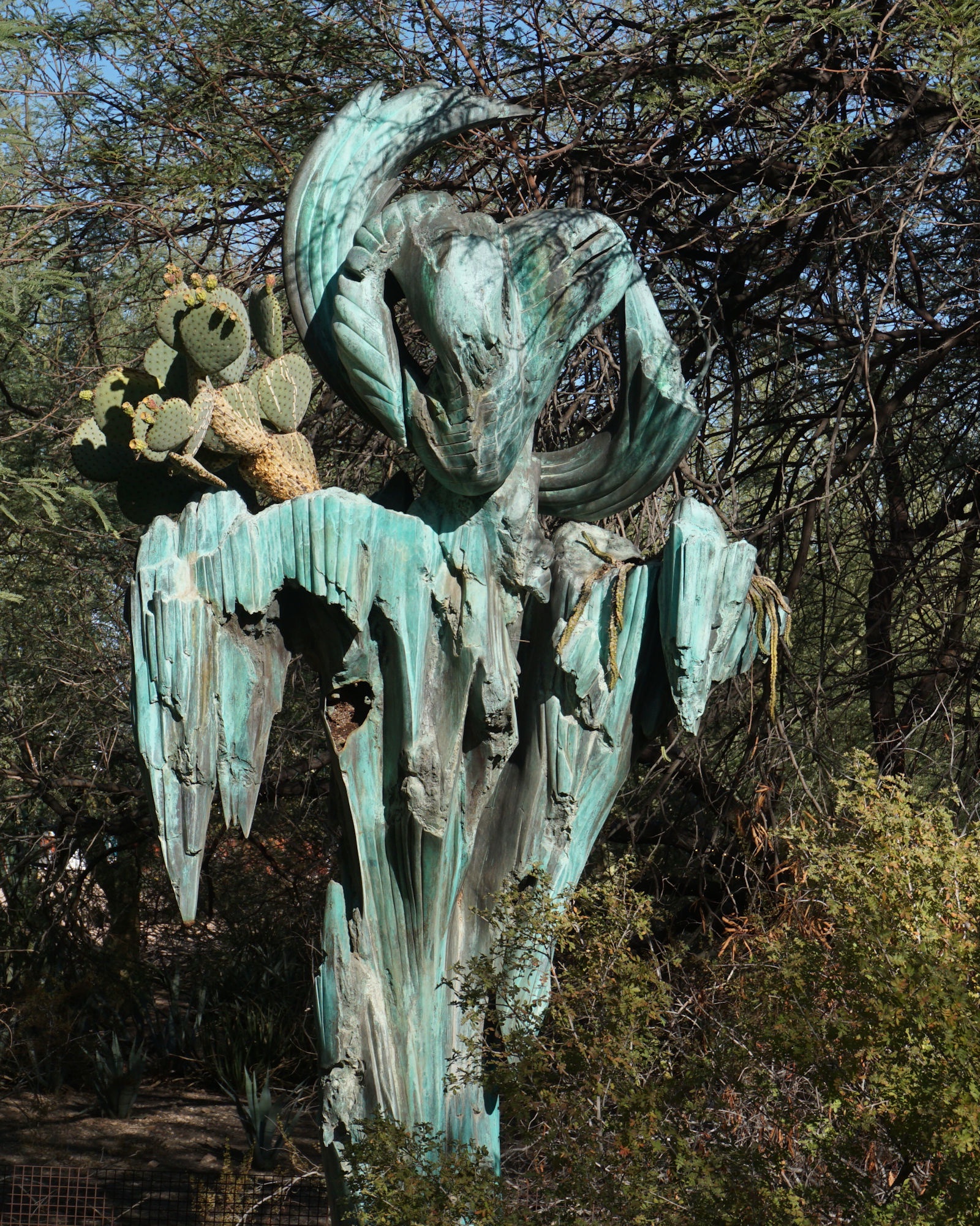 Exploring the Desert Botanical Gardens