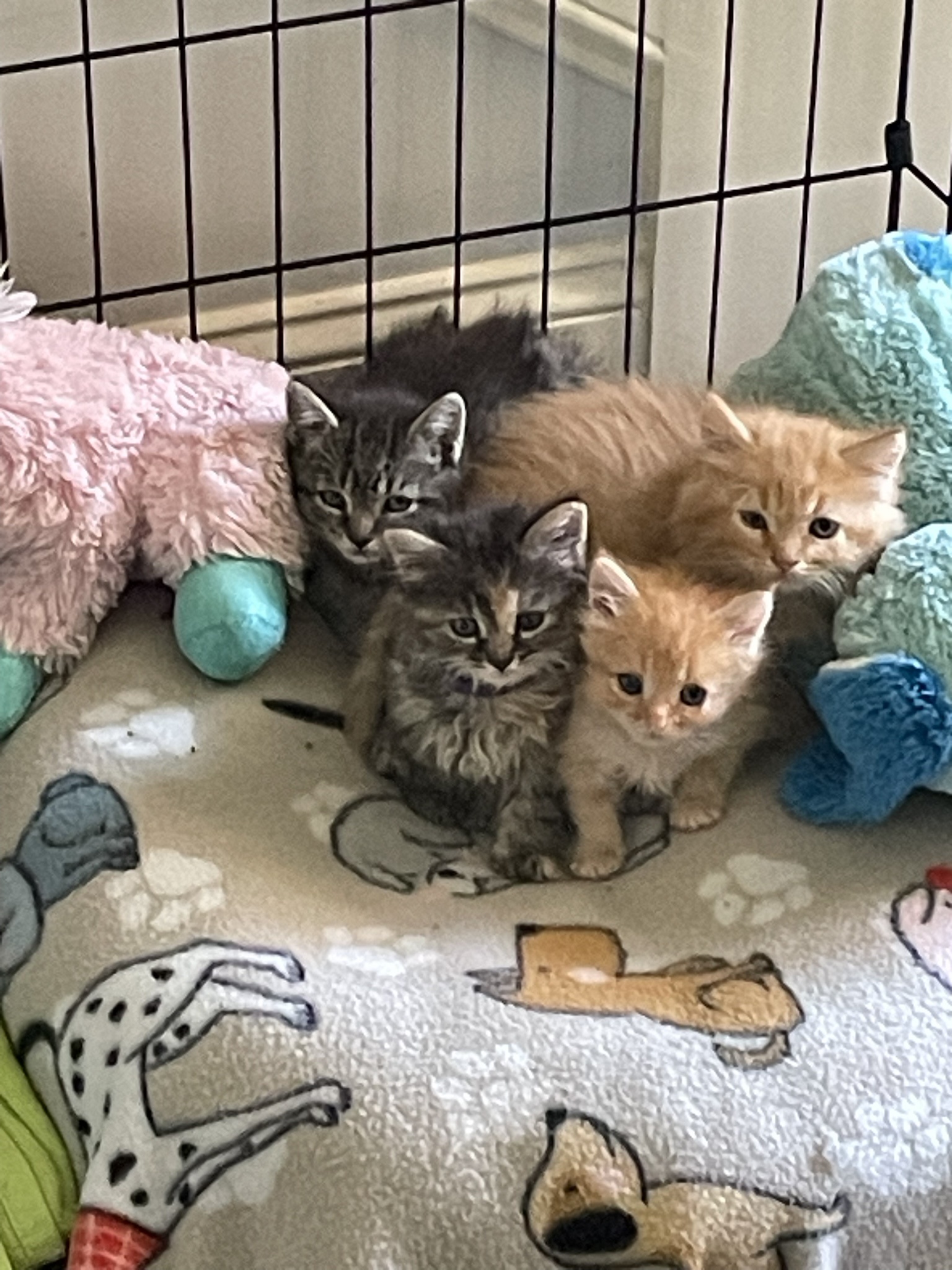 A warm welcome to our newest members!