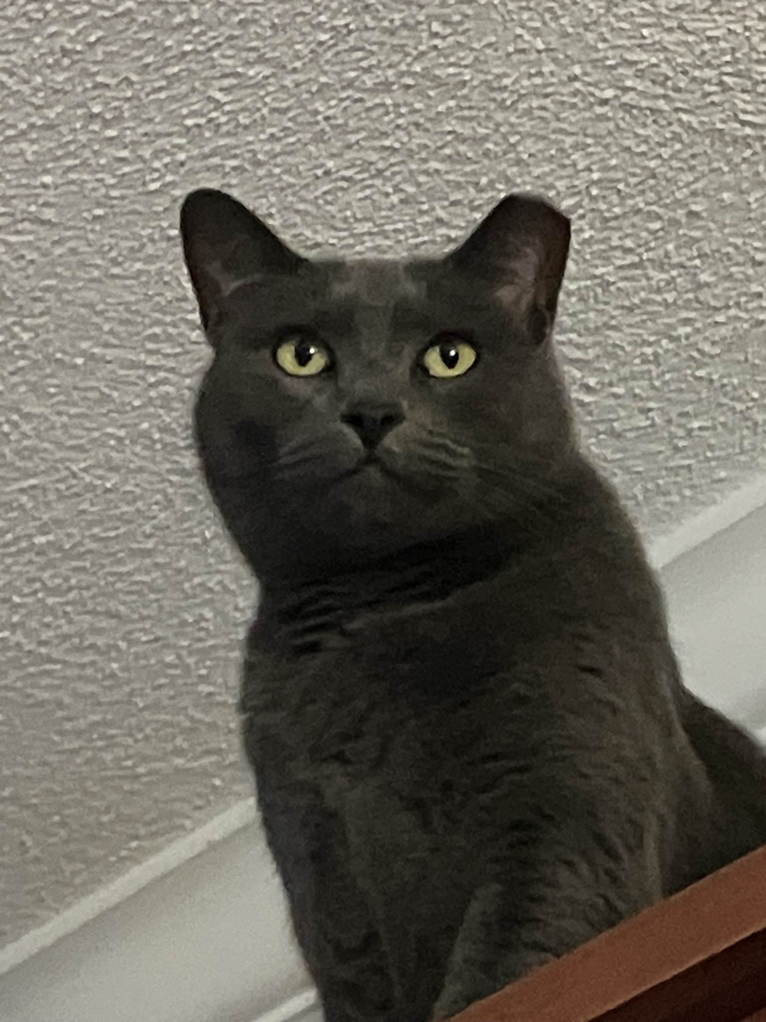 Your Daily Dose of Snick Pic: Episode 46
