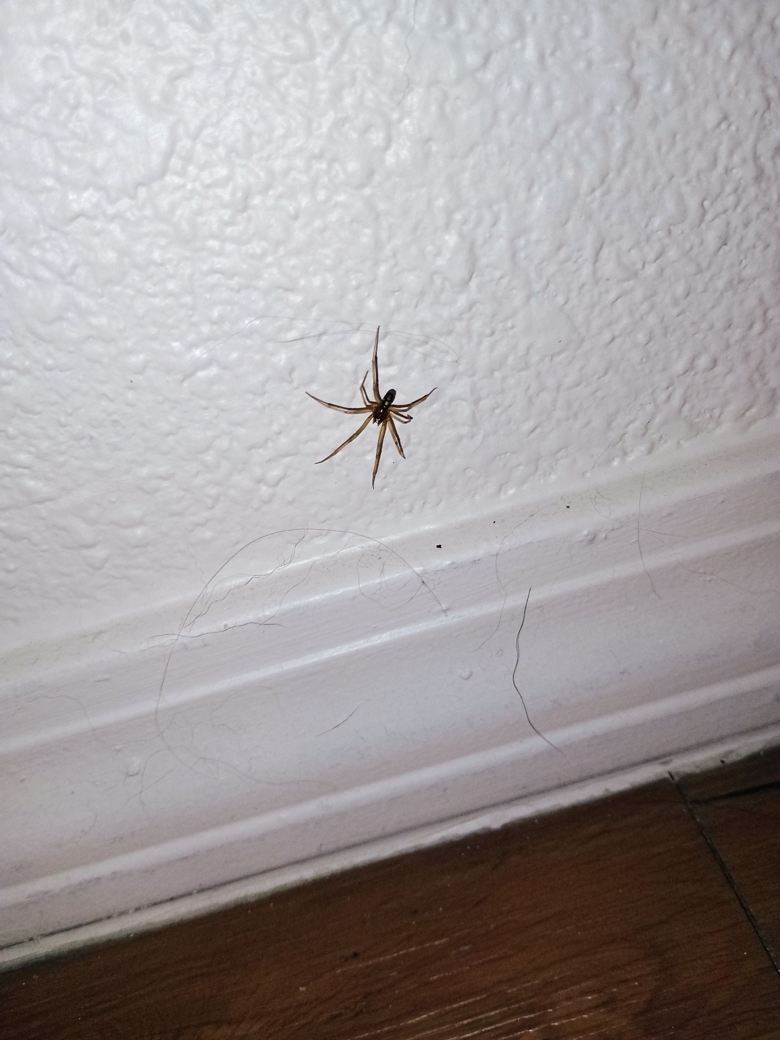 Encountering a Tiny Critter