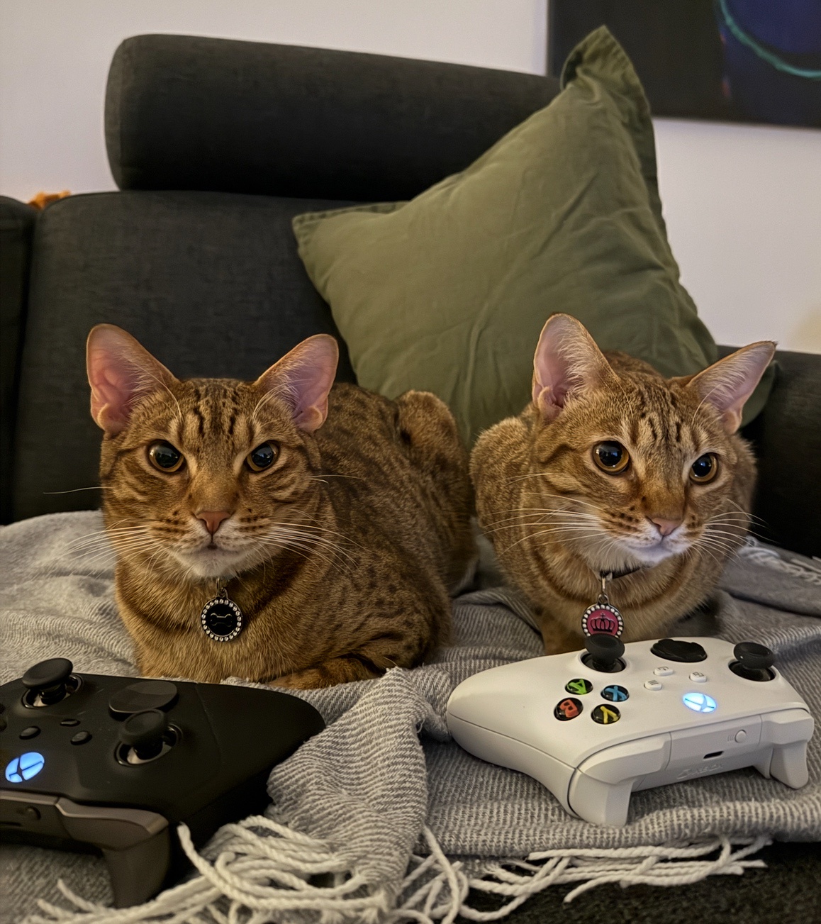 Is it Gaming Night?