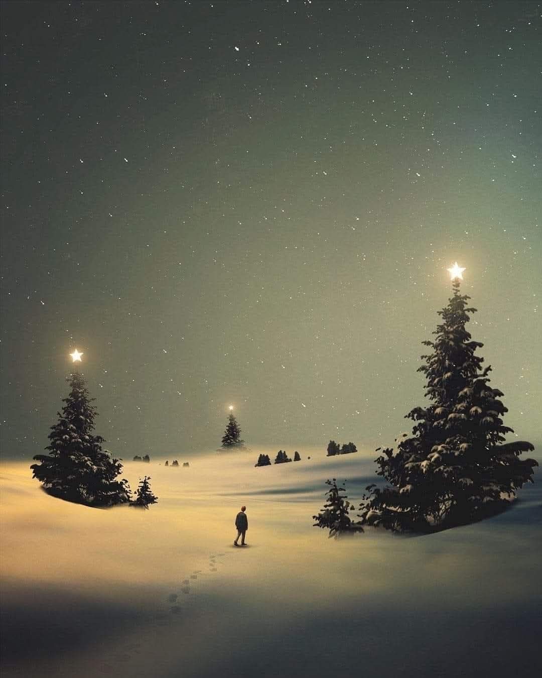 A Final Glimpse Before the Holidays