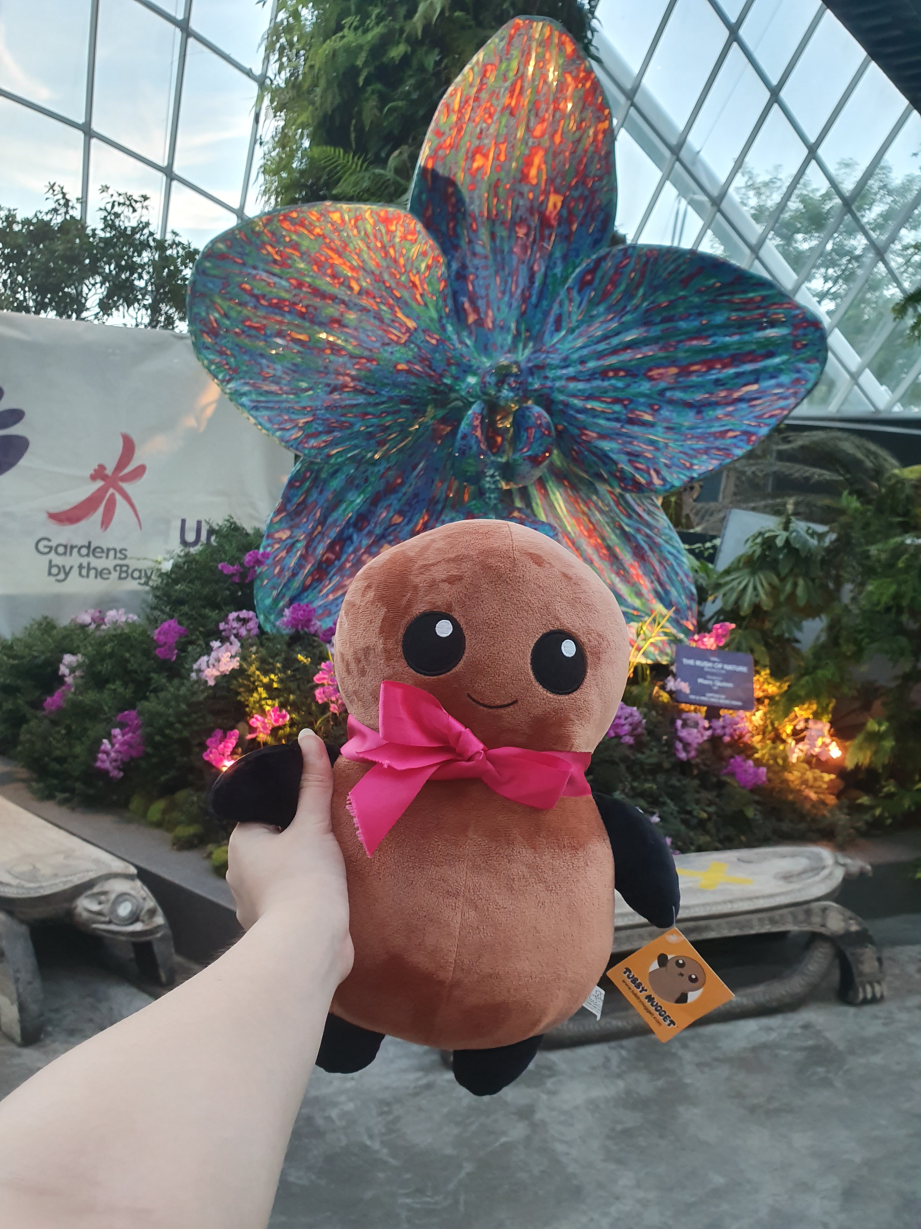 That Memorable Day I Took My Tubby Nugget to Gardens by the Bay!