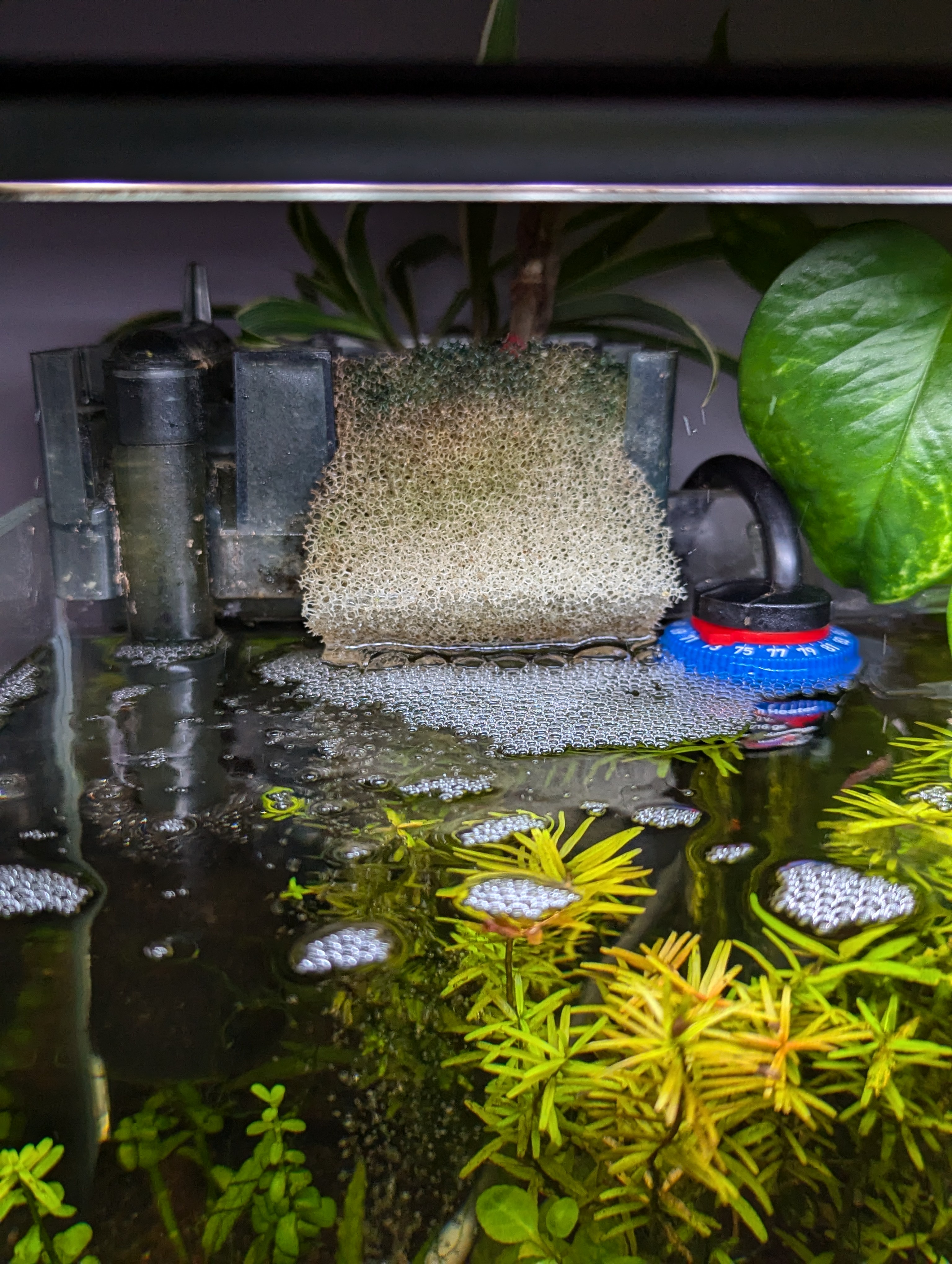 HOB with Perfectly Calm Surface Agitation