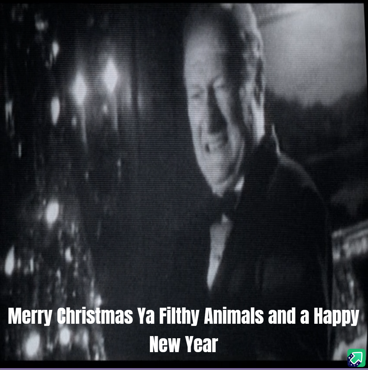 Merry Christmas, you filthy animals! Wishing you a Happy New Year too!