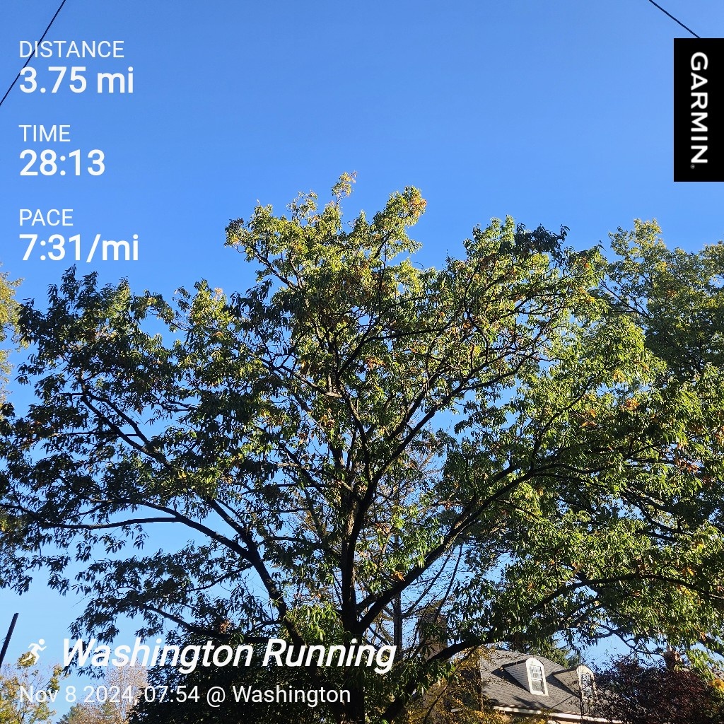 Embracing the daily grind with my daily run.