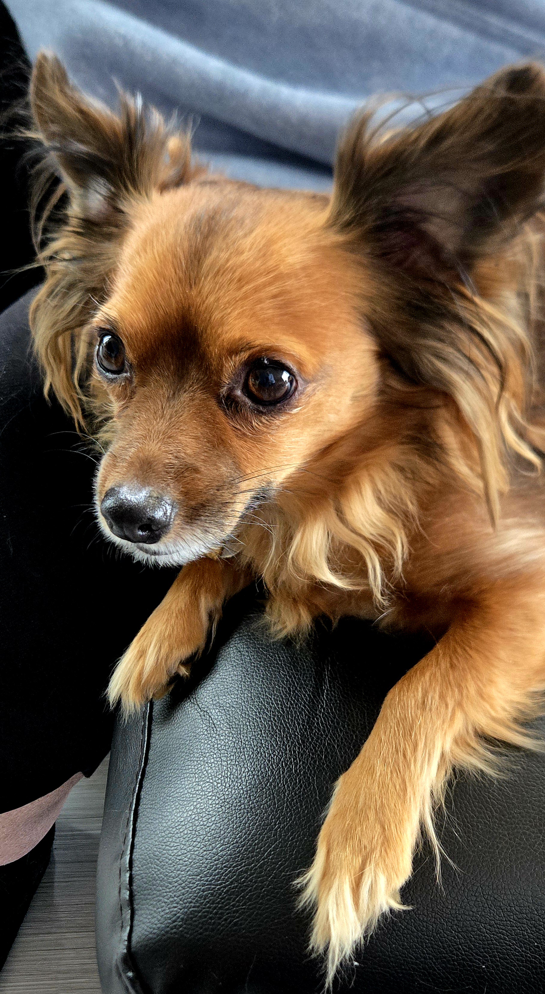 This Little Weirdo Made Thanksgiving Unforgettable
