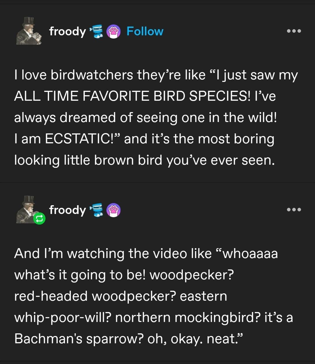 My All-Time Favorite Bird!