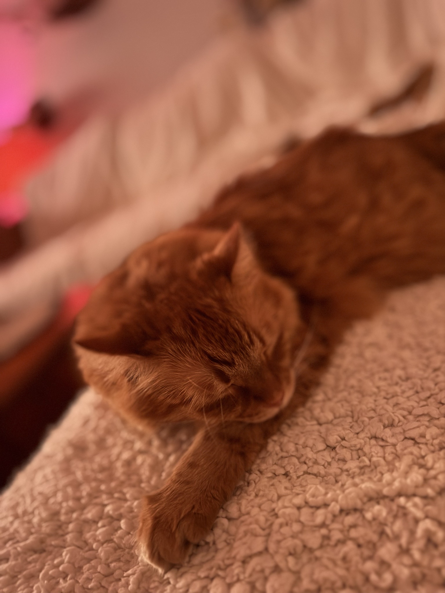 Toph's Journey: Day 111