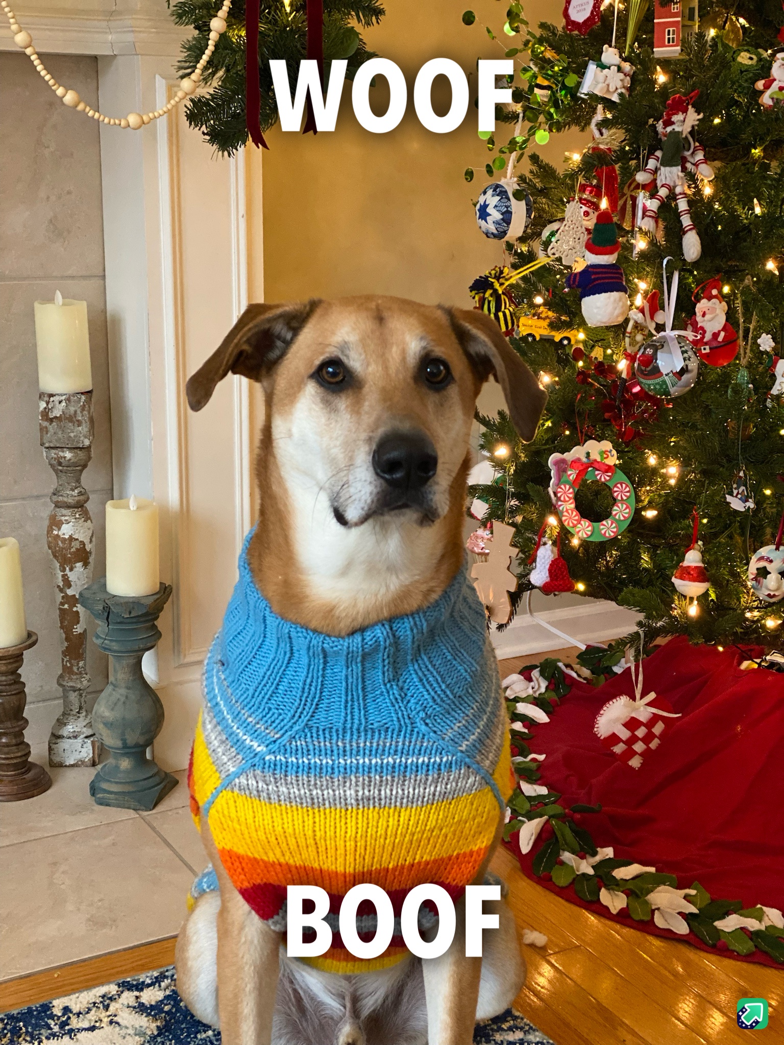 A Festive Card from Colonel Parmesan Just for You