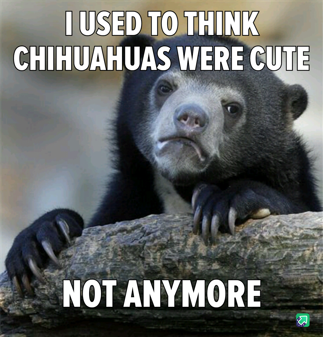 After Adopting My Catahoula-Pitbull Mix, I've Grown to Dislike Small Dogs, Especially Chihuahuas