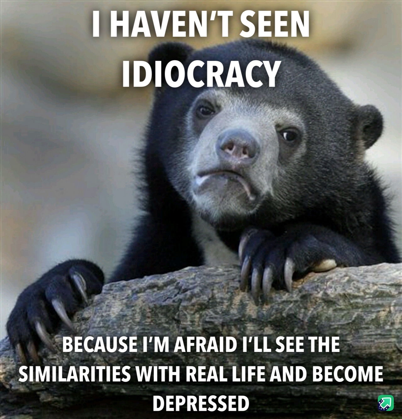 Living in Blissful Ignorance: The Sweetest Escape