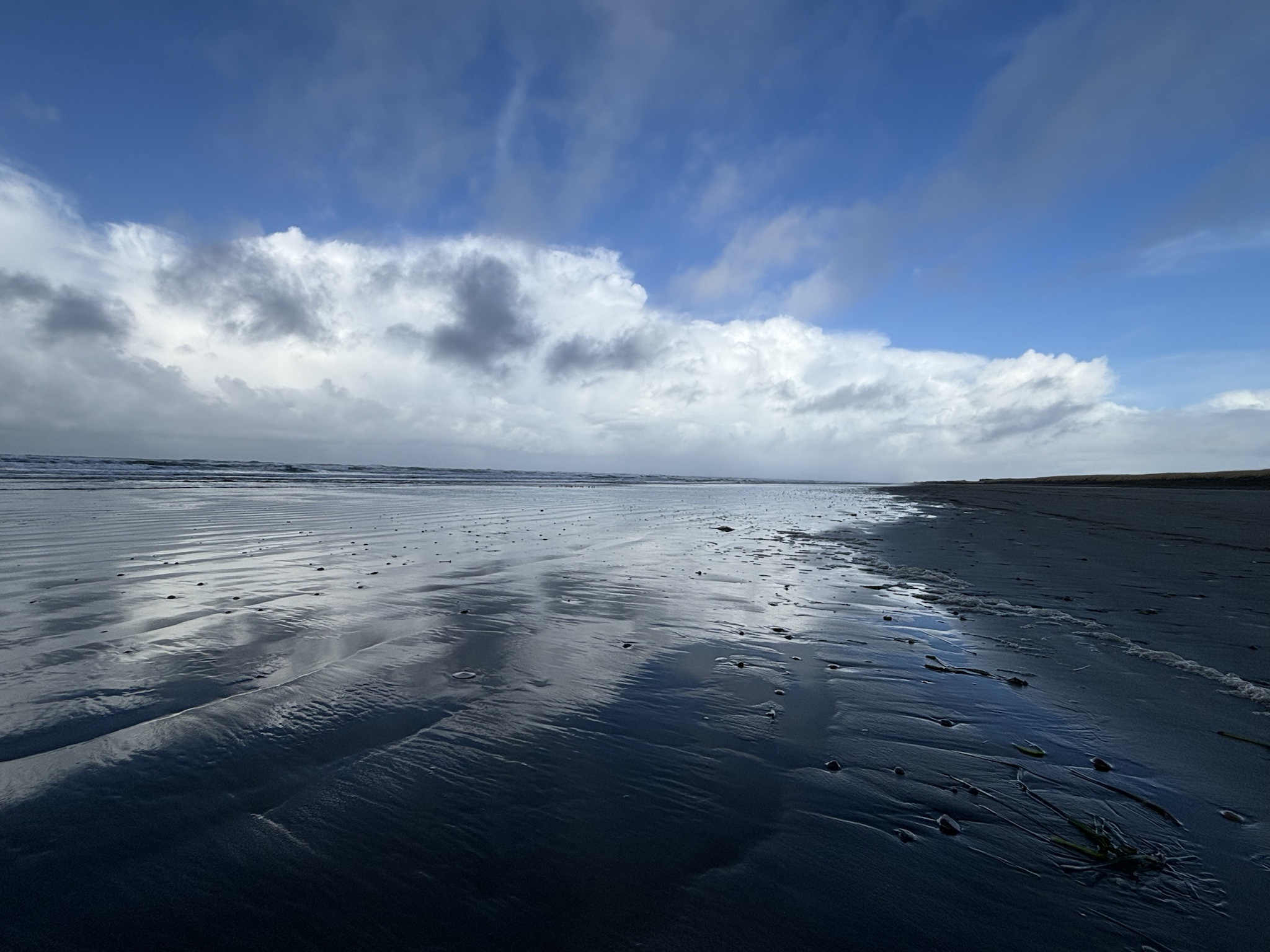 Exploring the Beauty of the Washington Coast